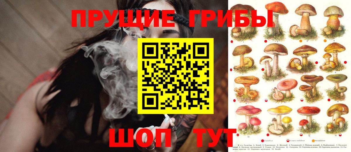 Галлюциногенные грибы GOLDEN TEACHER Десногорск